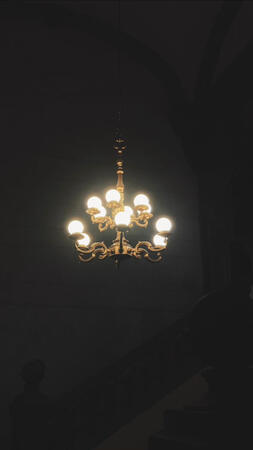Museum Museum
