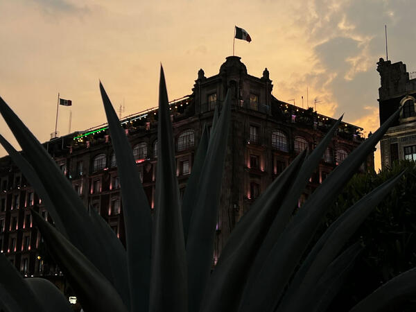 CDMX CDMX
